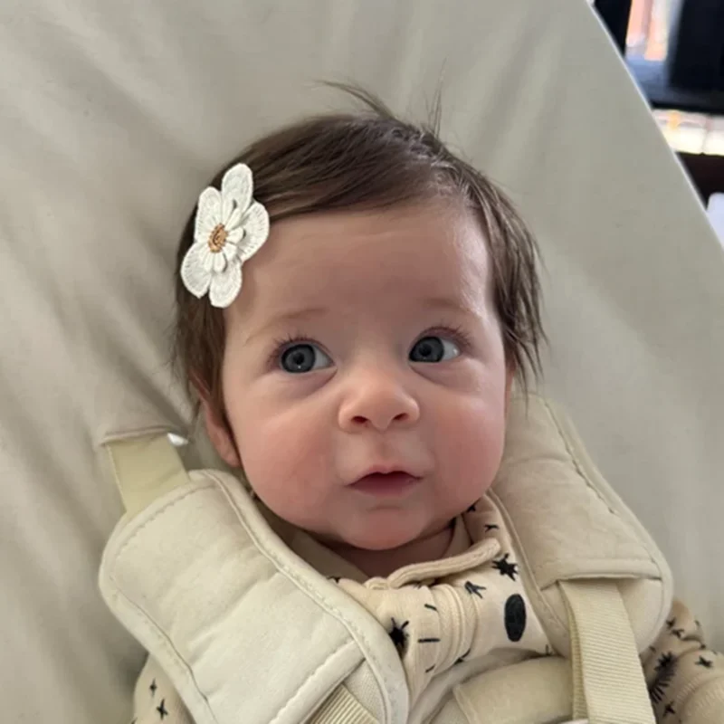 kf-S233ffa5a6219433387aa1193c19d5fc7M