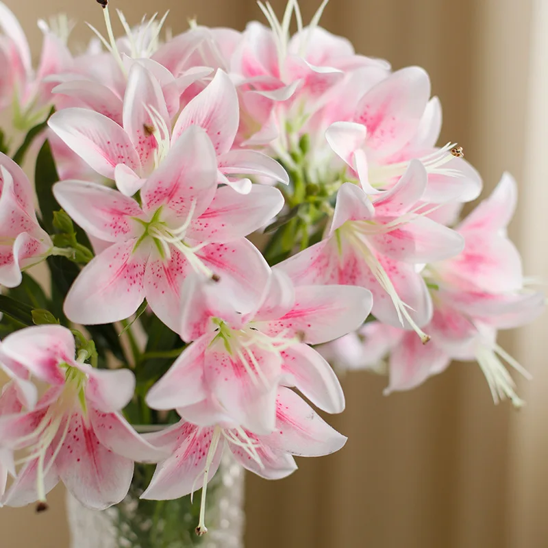 kf-S264b20fa90244f25924d8470ff9eb90fO