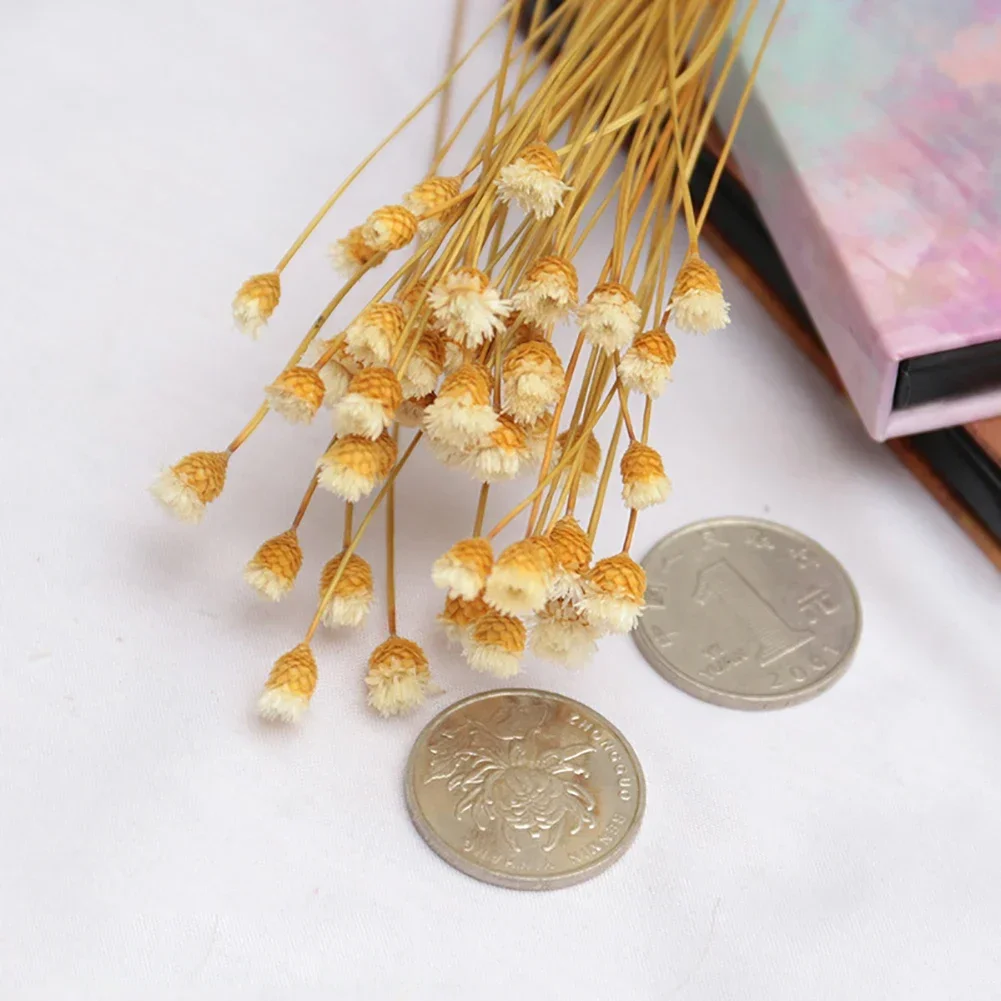 kf-S345674113e344922b0c0f3c6530fe798y