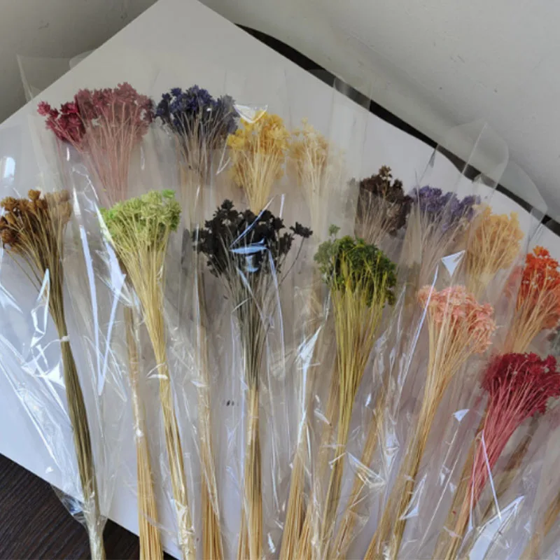 kf-S48e4701ccc3a4247b84f9d9212df0655Z