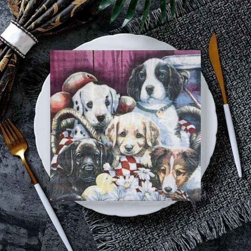 kf-S50fd43b6f10841bb81b631257c9d214fr