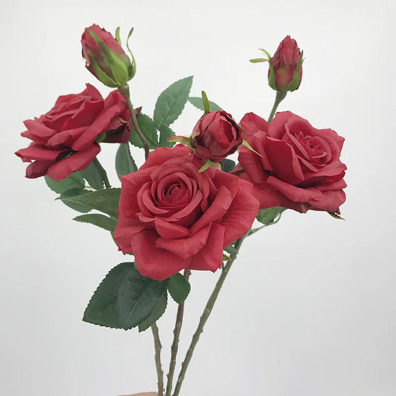 kf-S550db1680320460f8b7d67f5facd7253N