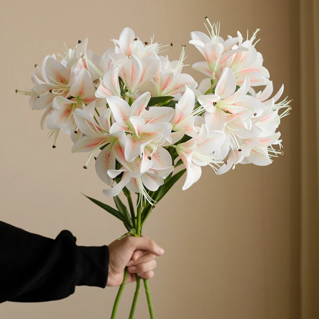 kf-S551c39990a81426b90b8e6f9a5491b0ae