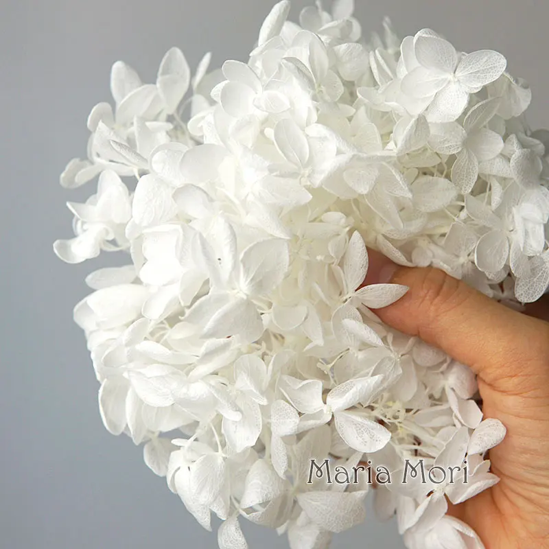 kf-S5ad2d92bea6c42fca02fbe60c3af2239e