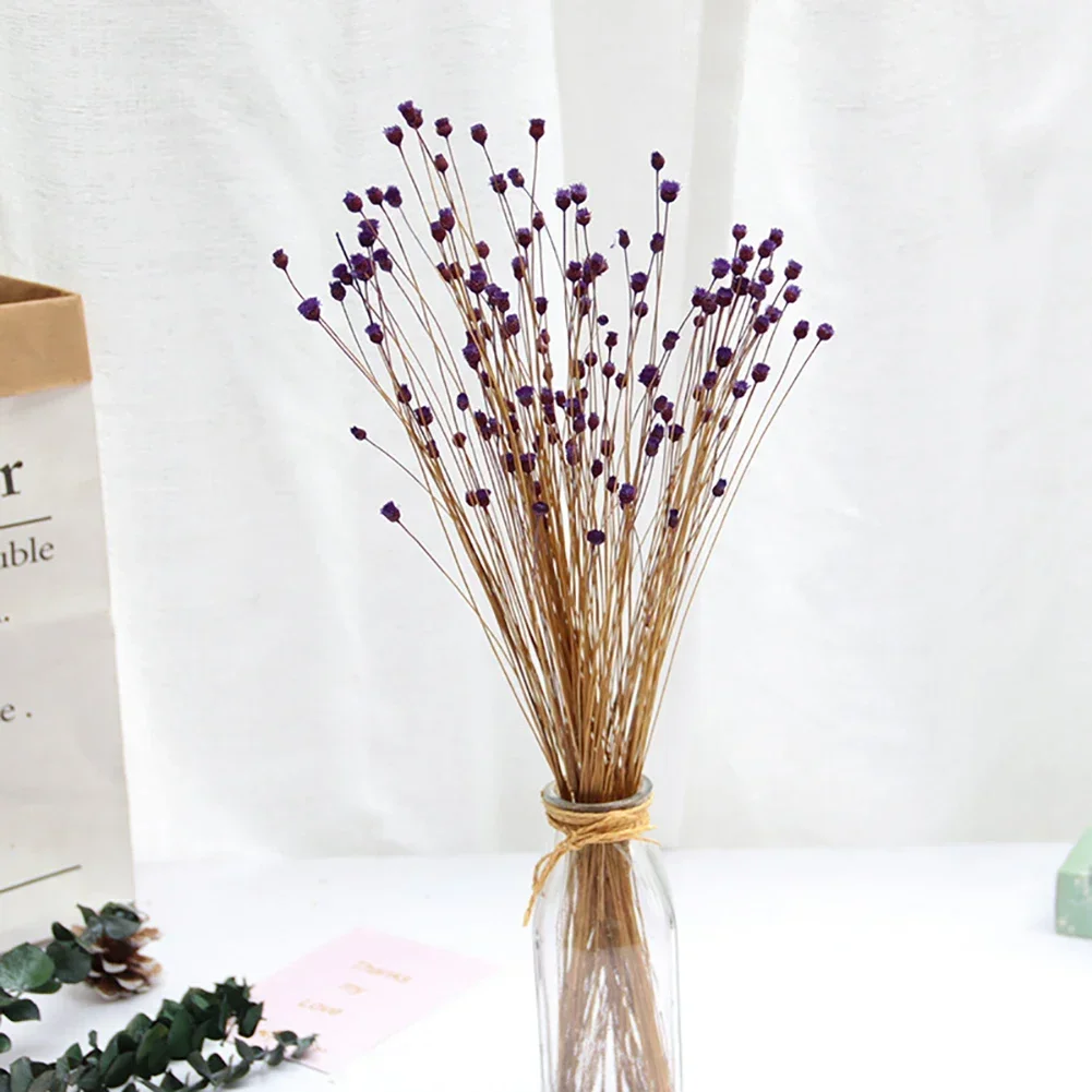 kf-S5db49f4a11d14641aa73537cb78b6d51x