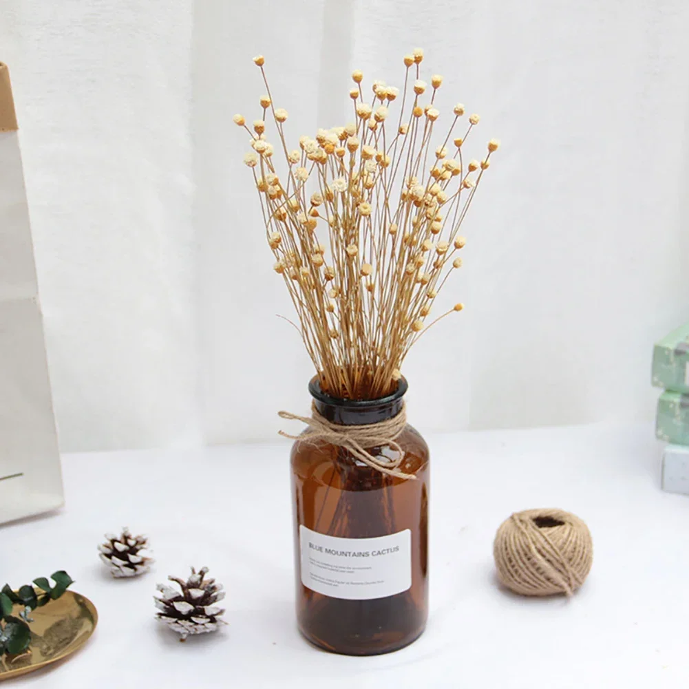 kf-S67a1c6e72c624bfcb07545d2a57affedB