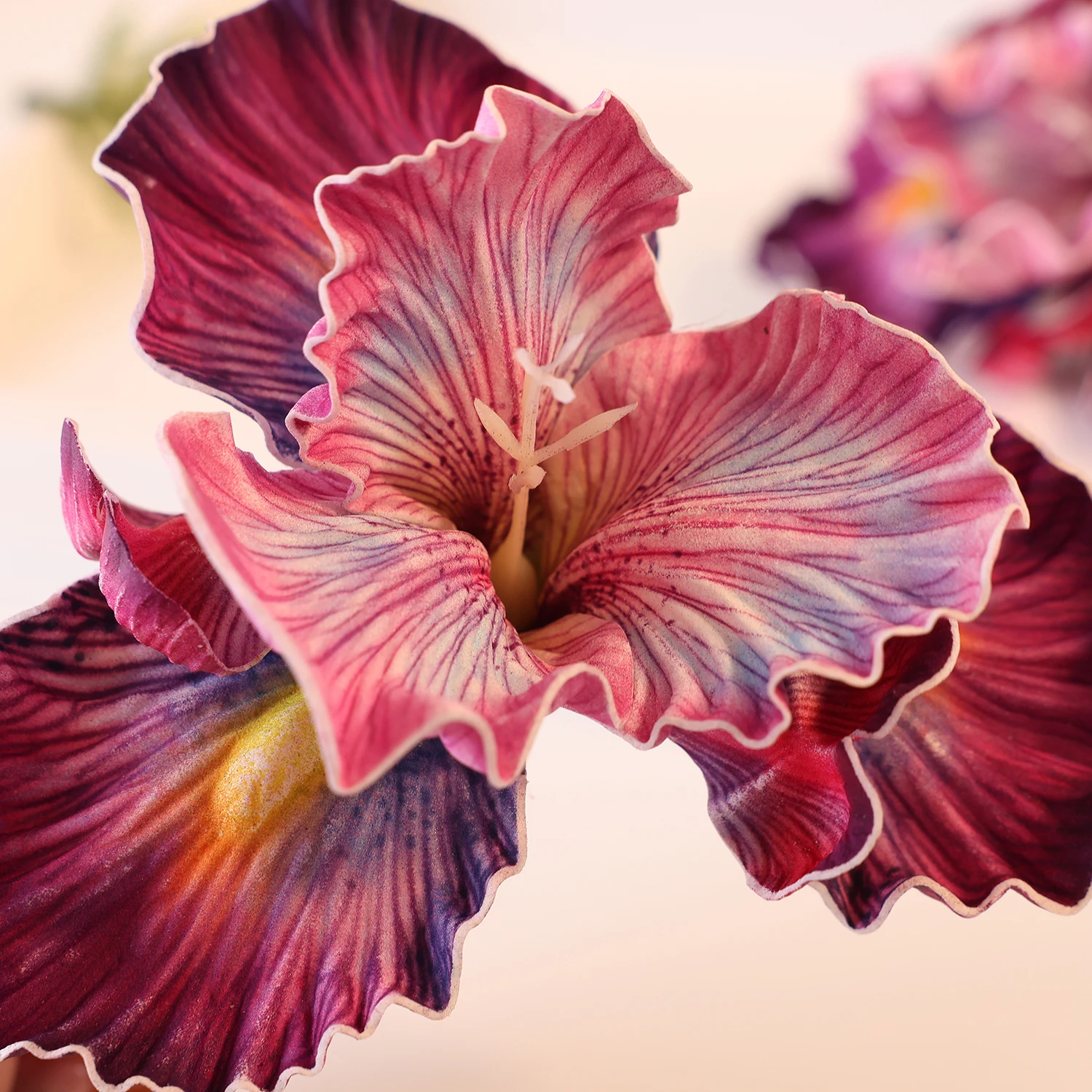 kf-S6dcdcb903271404fbf37bb79829a2d0eE