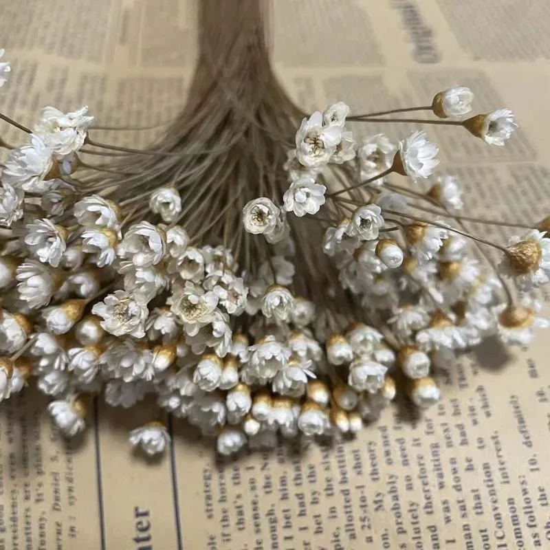 kf-S6fd8bfcf3d33462e8bdaa99df08e22dda