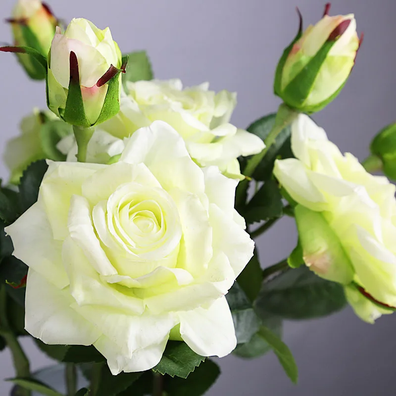 kf-S77be6ac9b23240beb251335c3a829141m