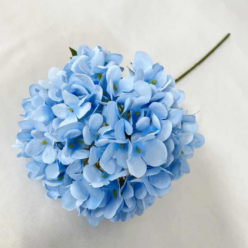 kf-S9575132c03c74b1a8fc7f1f2213f24c3s