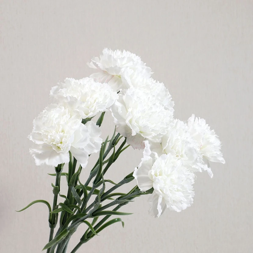 kf-S973e5543d52d4038b18f9f9c2efd025bM