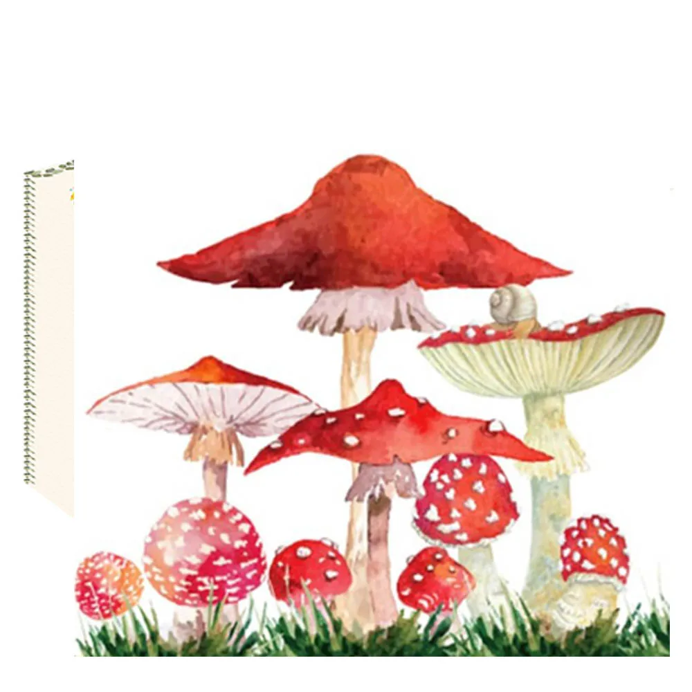 kf-S9dadf069de4b4c669d81328e130b94577