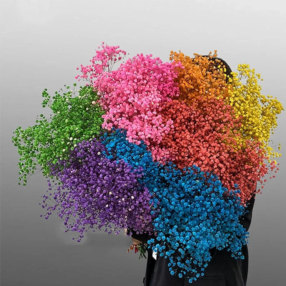 kf-Sa6a5b1ed3c9646dab165a3af1cc7ccdeM