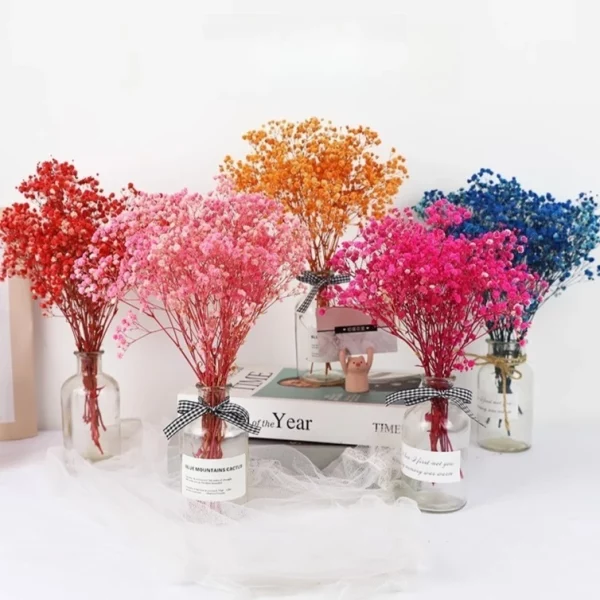 천연 신선한 말린 보존 꽃, Gypsophila Paniculata, 아기의 호흡 꽃다발, 결혼식 장식, 가정 장식을위한 선물