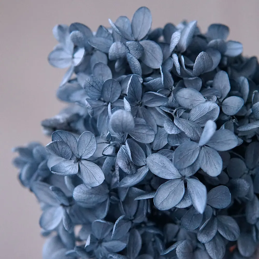 kf-Sb91f598de2074abebd3d60b538cd2fdey