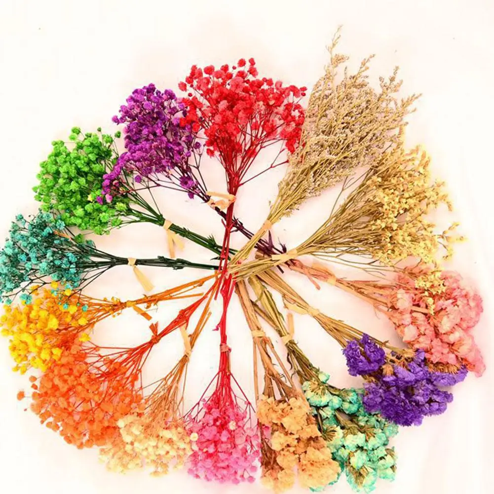 kf-Sc6a28ff5bafa47499dab9079c3179327s