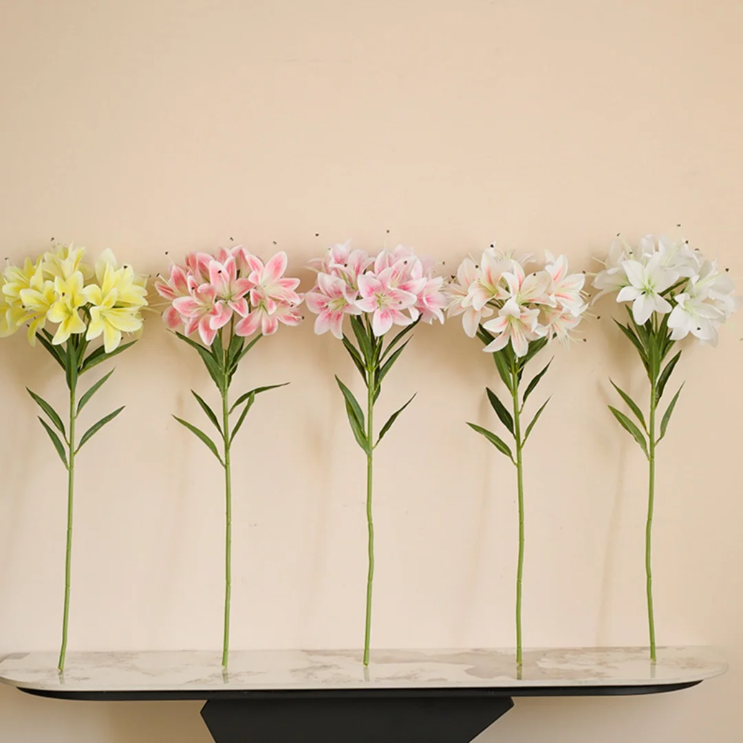 kf-Scc1f38e013b141189c73b79b807f7cb0A