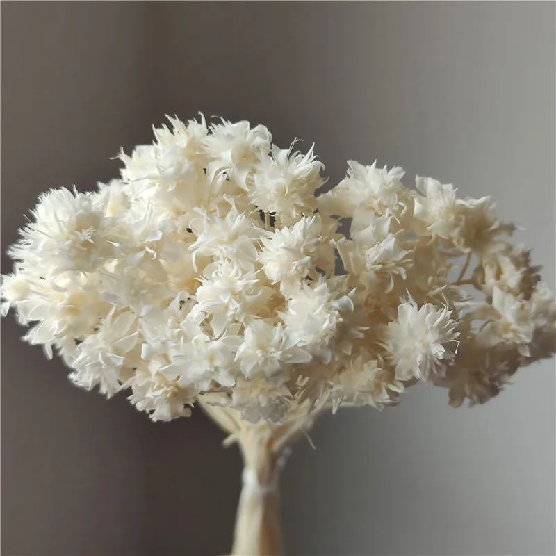 kf-Se847e4d8ab16495ca28d60f8cffa12f13