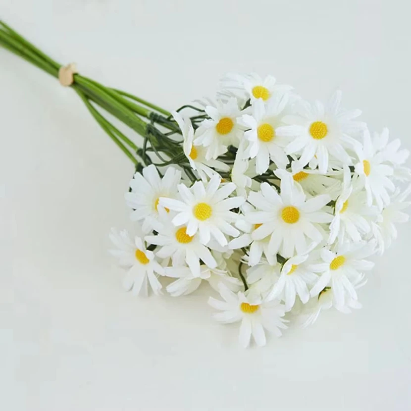 kf-Seeeef55c5f3140c7a389c04ce7ff419f2