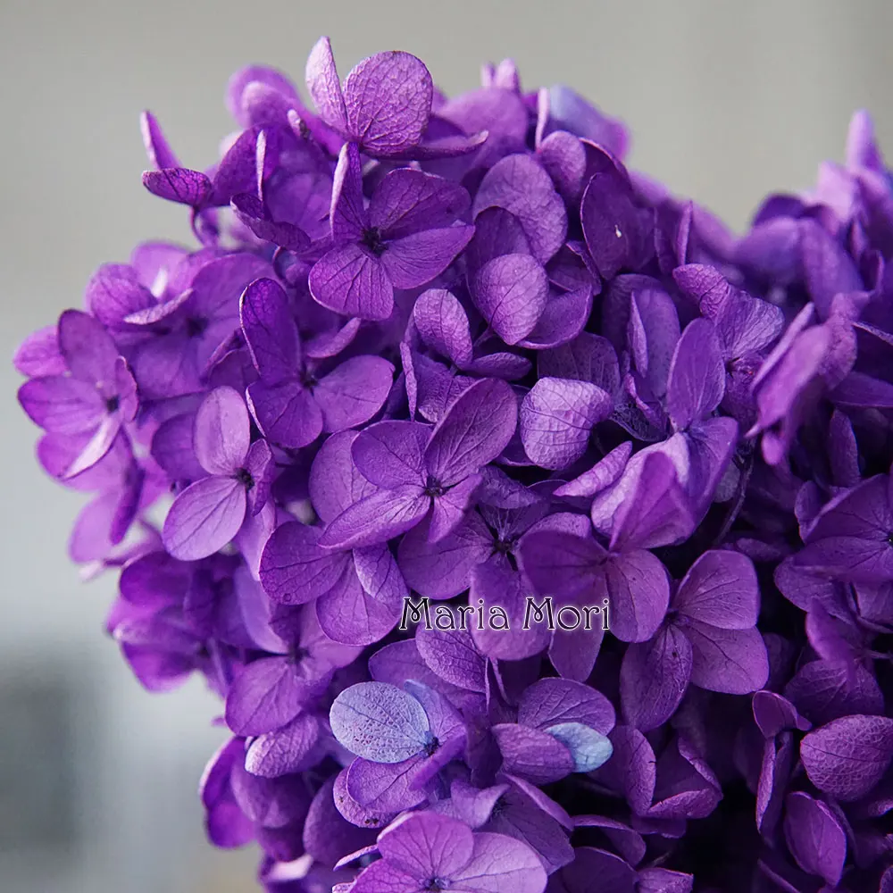 kf-Sf7eca3f5af074d1c8f61f1d13a7f71c7V