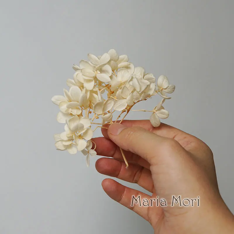 kf-Sf9a4588669cd4ae4a9cd00ce04cf530bP