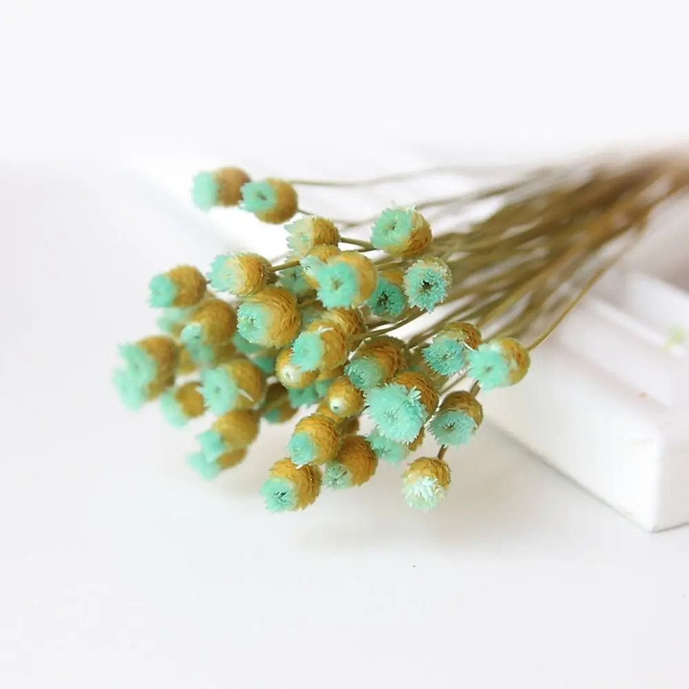 kf-Sfbc456bed3c54223a84e2572b63551d0u